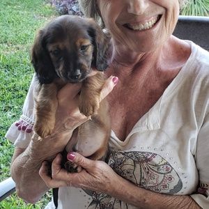 Meet your Posher, Brenda